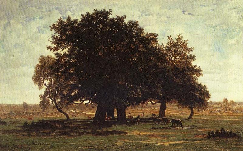  Oak Trees near Apremont